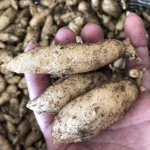 價格 廠家 中國供應(yīng)商